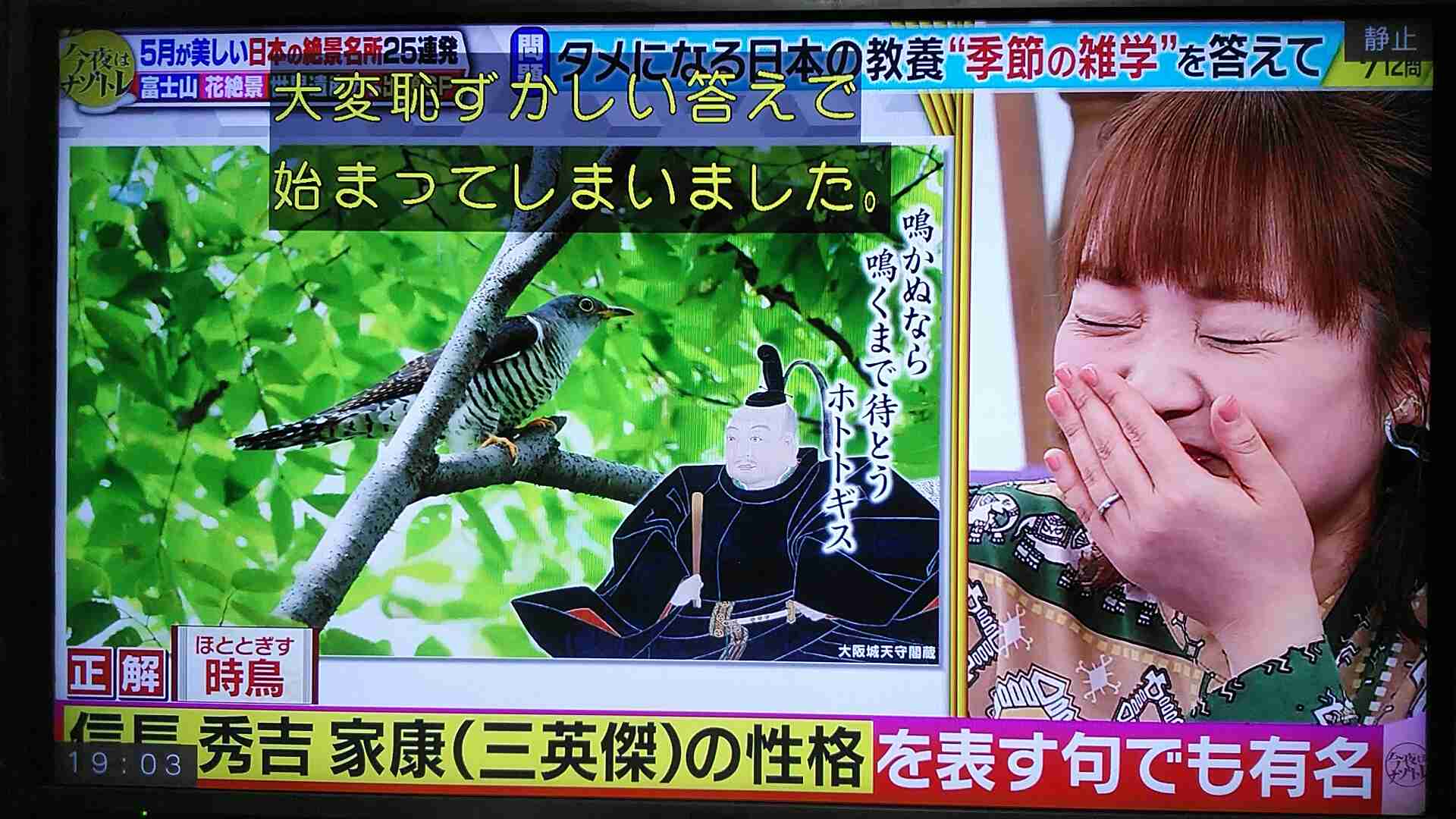 歴代で1番好きなクイズ番組