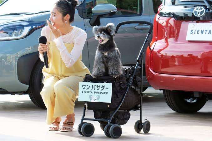 「新型は何が良い？」 アンダー200万円からのトヨタ「快適ミニバン」が人気！ 車中泊も楽な「シエンタ」の現状