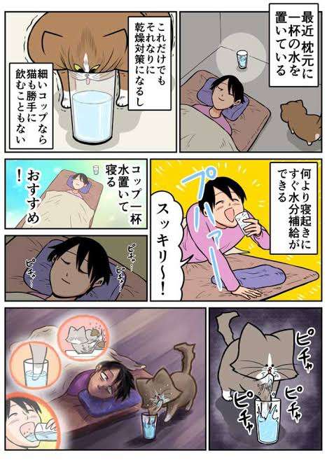 怪奇現象の原因はねこ!?　仏壇の水を飲む姿に4.6万人爆笑　「うちもやります」