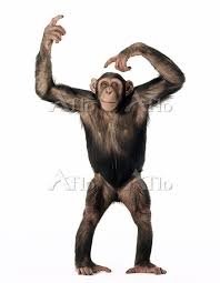 バンザイ寝の人