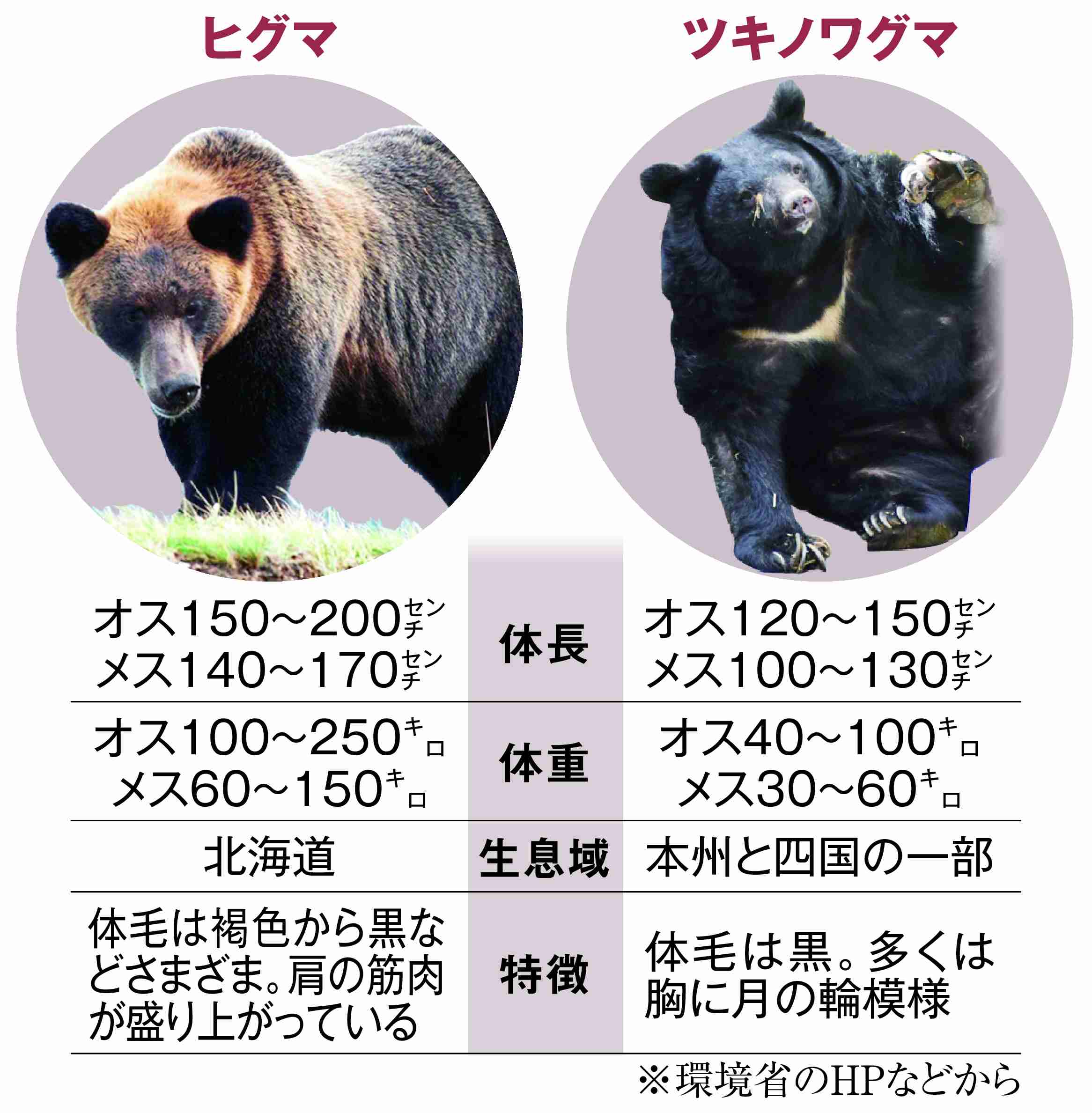 クマが駆除された付近に性別不明の遺体の頭部　不明男性か　北海道・朱鞠内湖