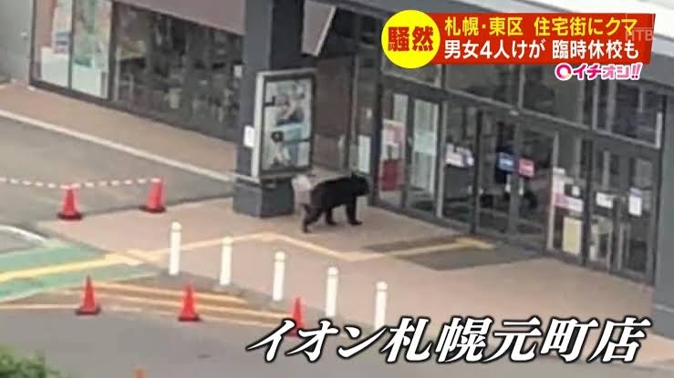 クマが駆除された付近に性別不明の遺体の頭部　不明男性か　北海道・朱鞠内湖