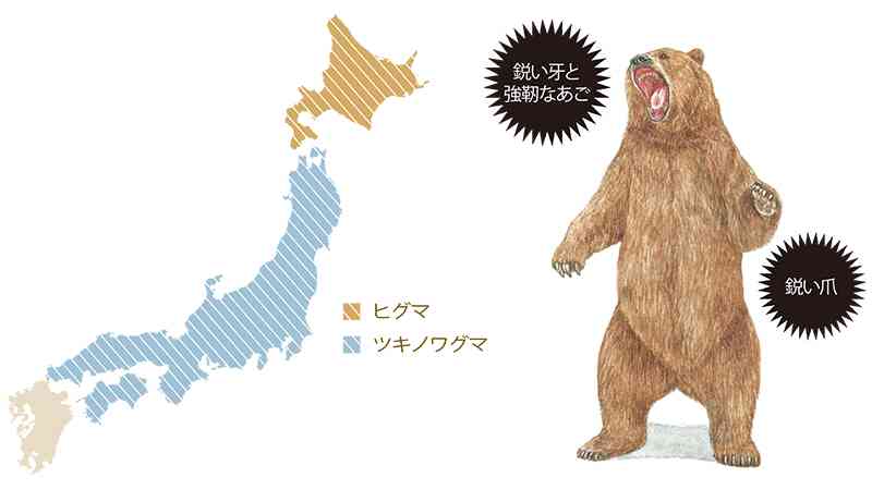 クマが駆除された付近に性別不明の遺体の頭部　不明男性か　北海道・朱鞠内湖