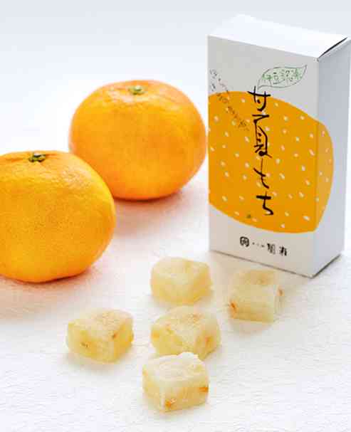 和菓子離れとお茶離れ…“合わせて解決”の新商品が人気　老舗菓子店が奮闘＝静岡・熱海市