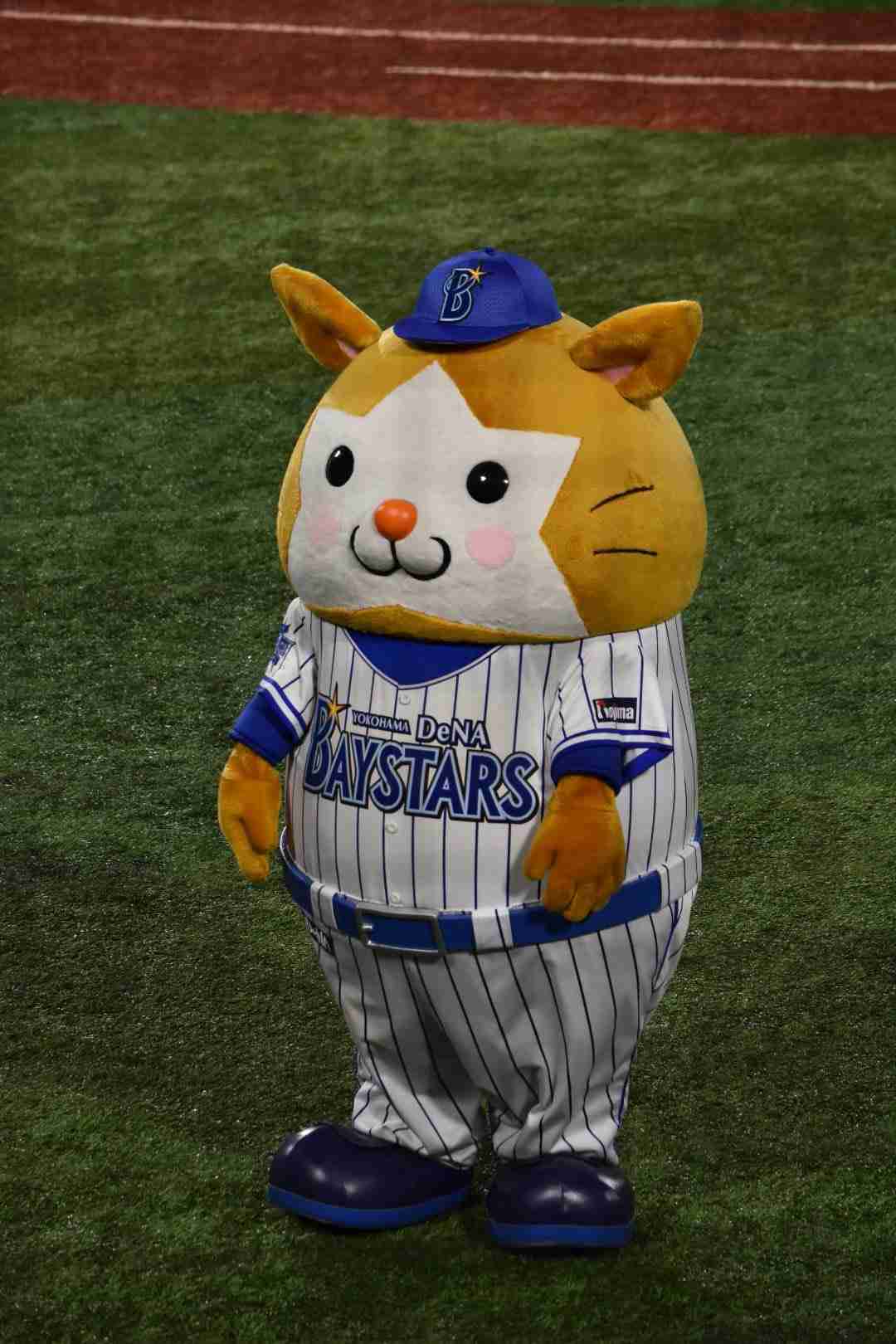 横浜DeNAベイスターズ応援トピ