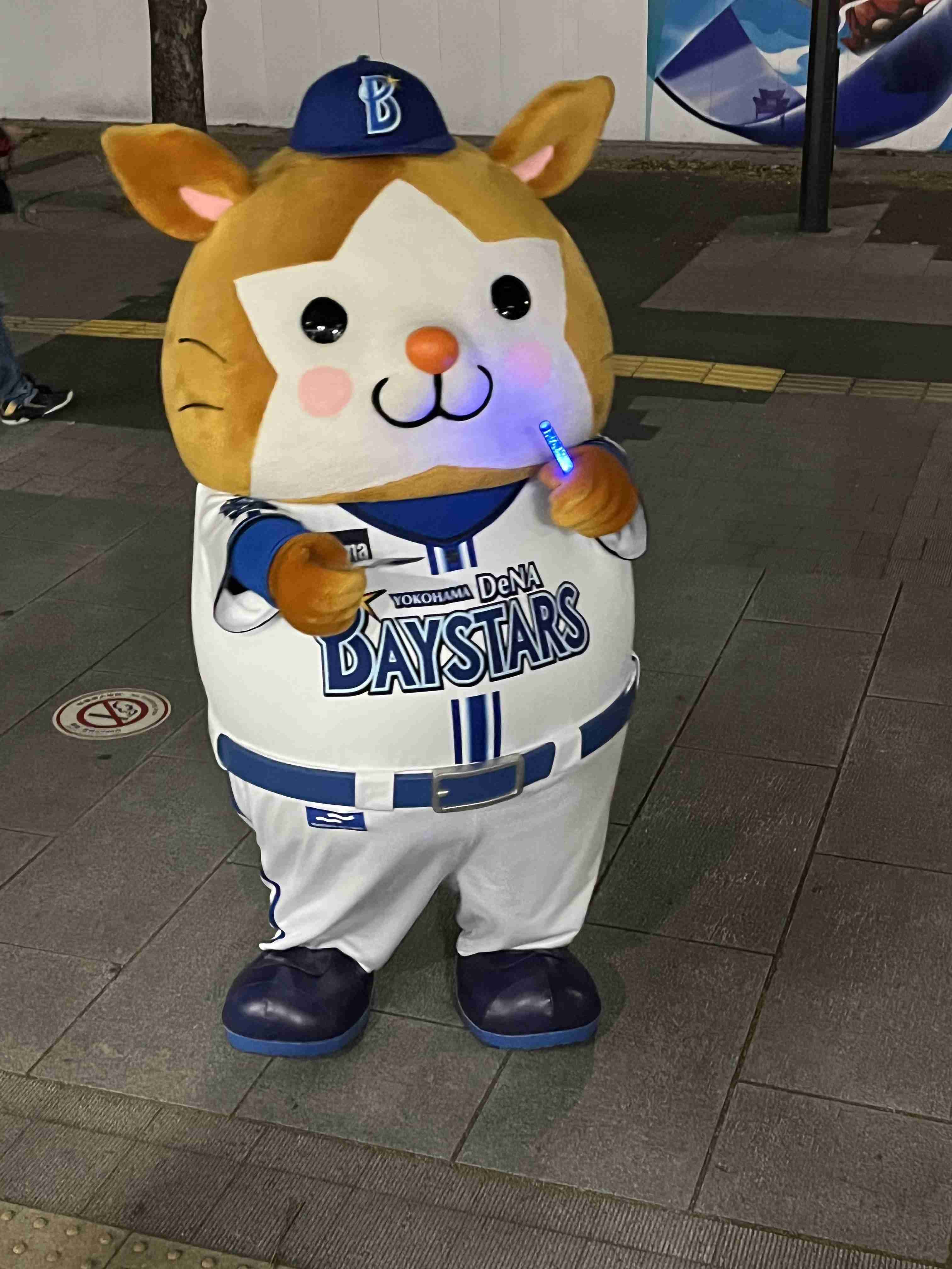 横浜DeNAベイスターズ応援トピ