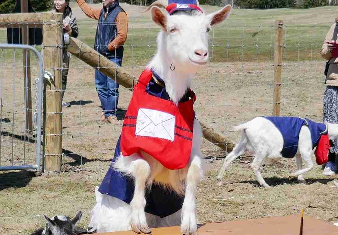 メール便や荷物の内容を詮索してくる配達員