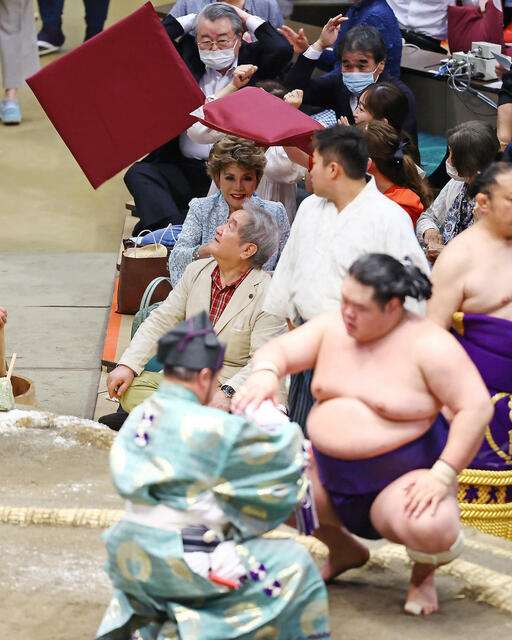 所ジョージ 大相撲千秋楽観戦でネット沸く!隣の“有名人”も話題「意外な組み合わせ」「仲良いな」