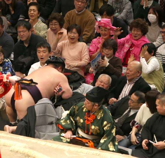 所ジョージ 大相撲千秋楽観戦でネット沸く!隣の“有名人”も話題「意外な組み合わせ」「仲良いな」