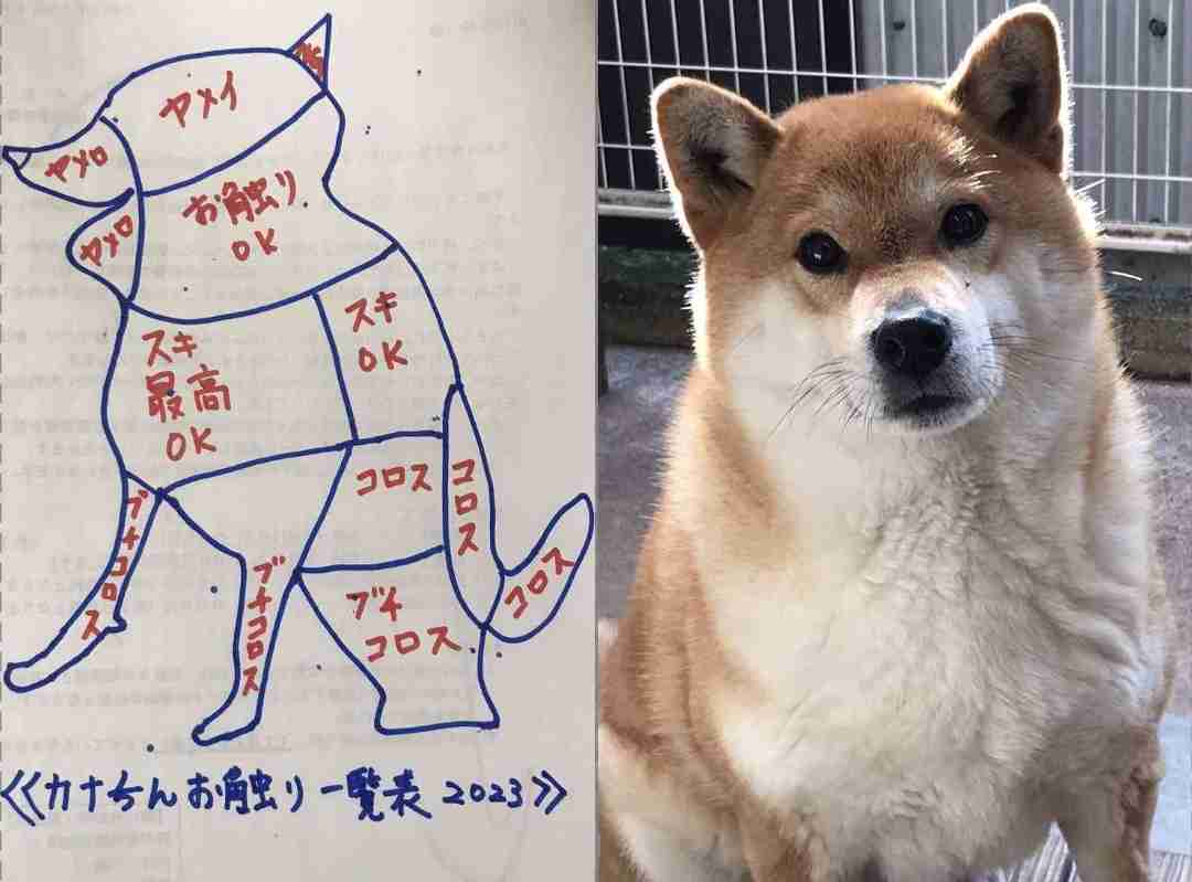 朝までガルチャンしていたい人の深夜雑談トピpart10