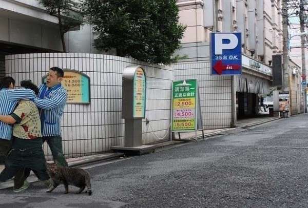 状況がよくわからない画像