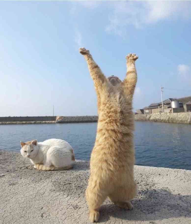 状況がよくわからない画像