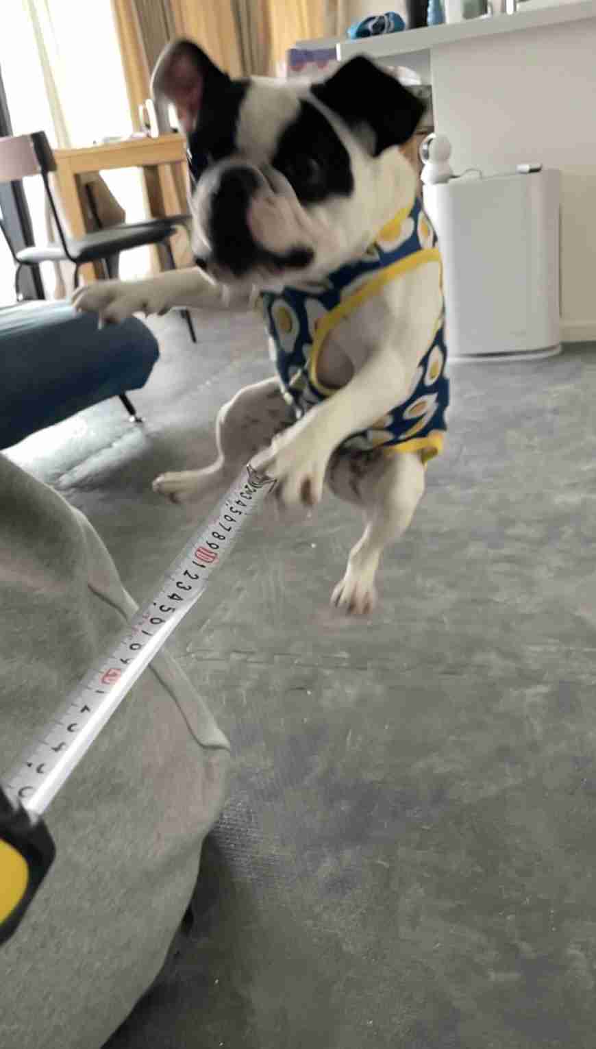 状況がよくわからない画像