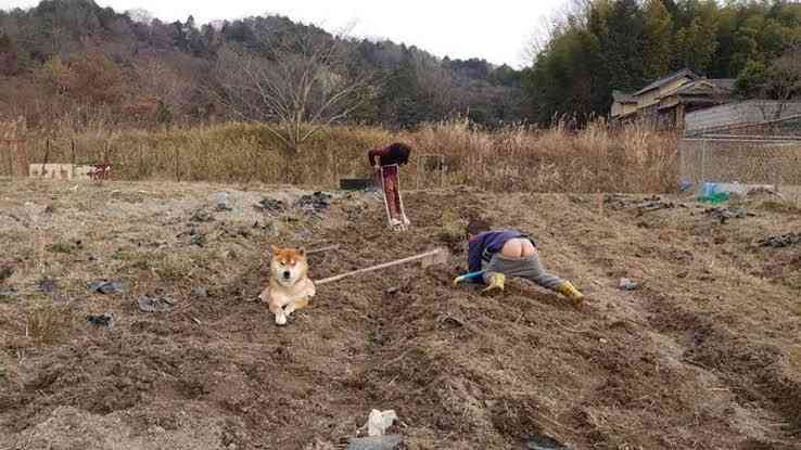 状況がよくわからない画像