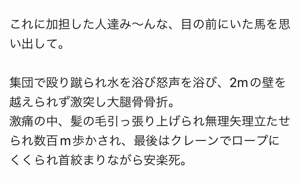 伝統行事か動物虐待か…4年ぶり復活「上げ馬神事」　三重県桑名市のツイッターには批判の声