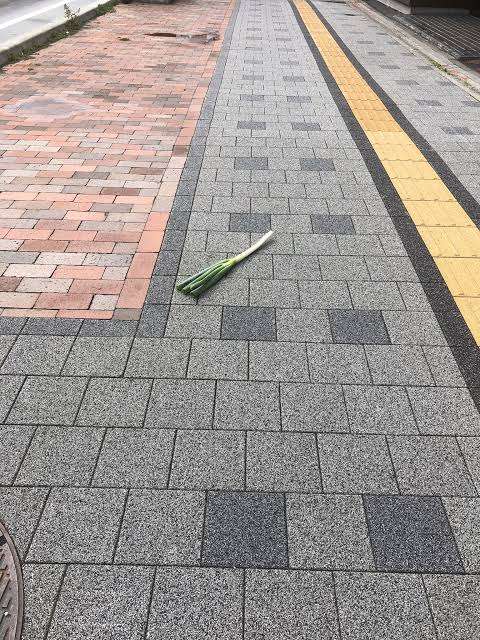 これ実際に見たことがありますか？