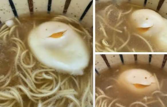 【画像】笑える画像