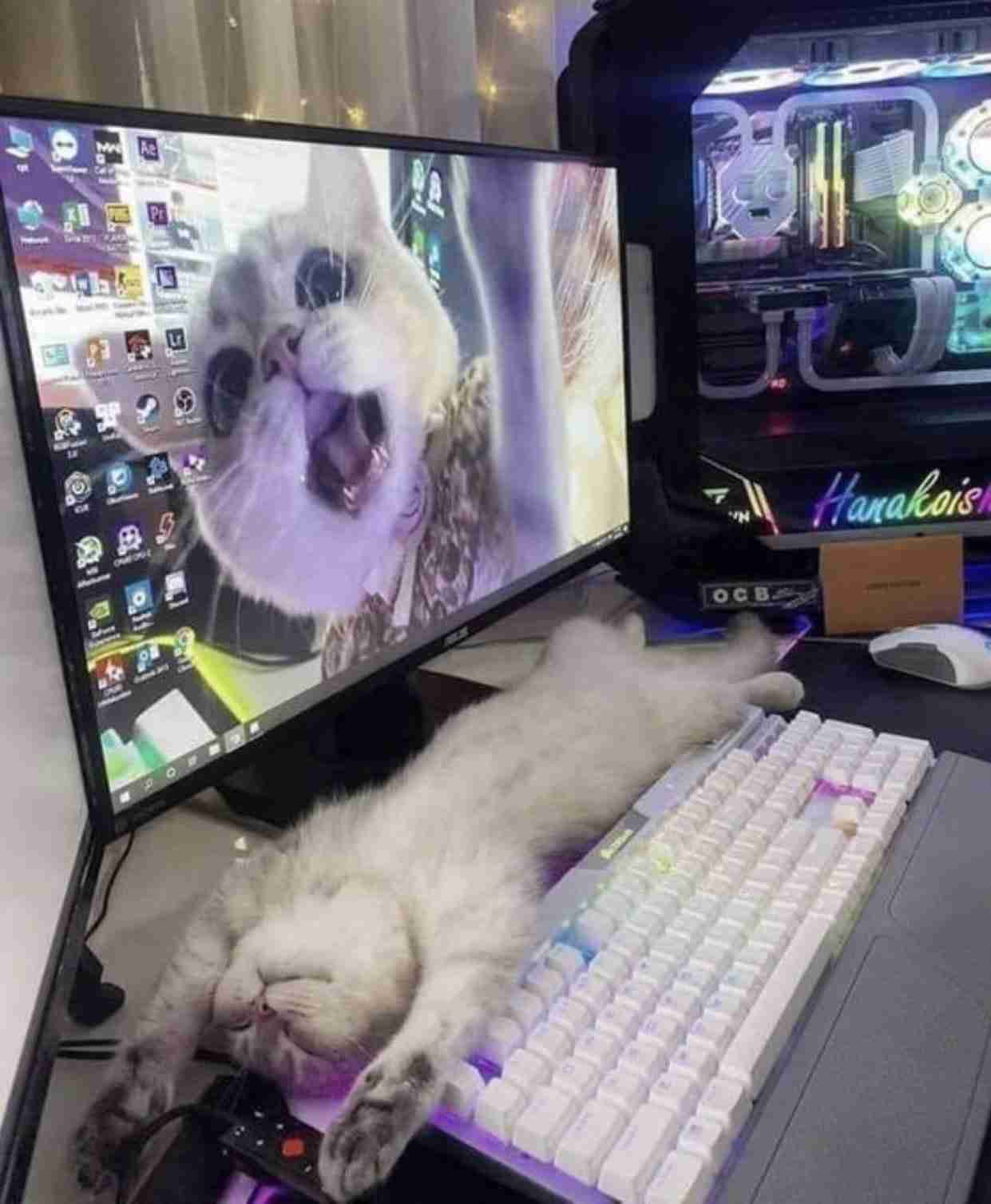 【画像】笑える画像