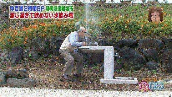 【画像】笑える画像