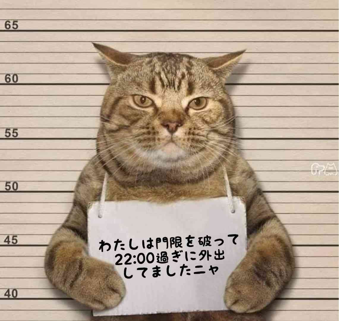 【画像】笑える画像