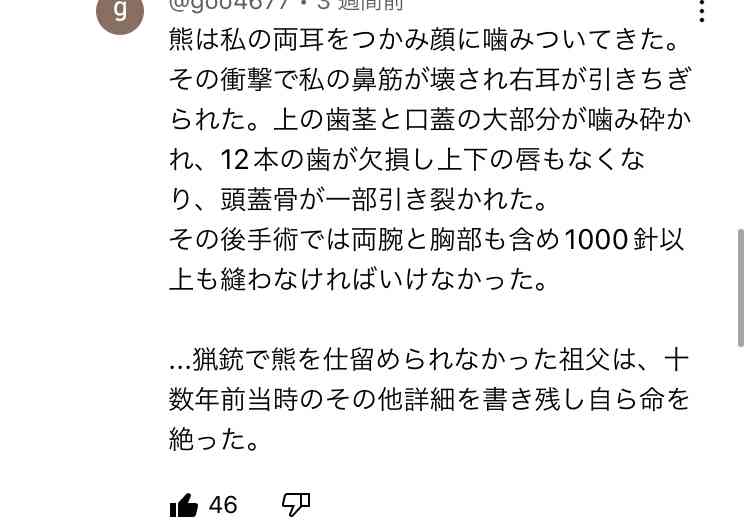 住宅街にヒグマ、目撃相次ぐ…足跡が向かう先に戸建て