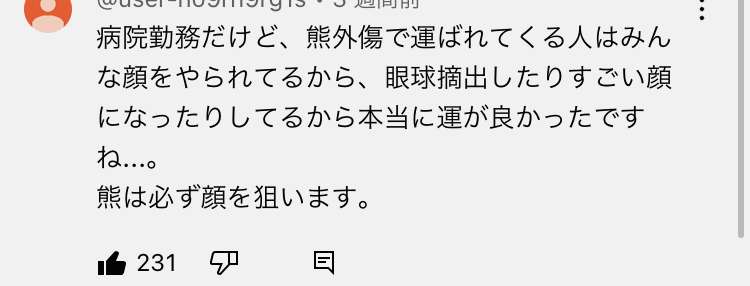 住宅街にヒグマ、目撃相次ぐ…足跡が向かう先に戸建て