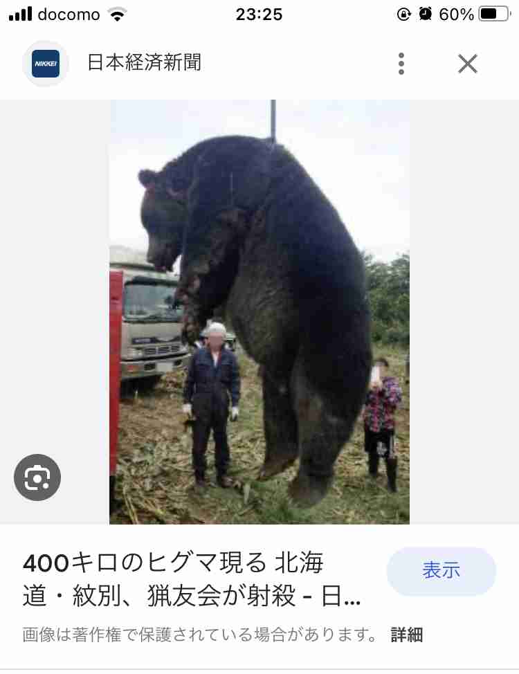 住宅街にヒグマ、目撃相次ぐ…足跡が向かう先に戸建て