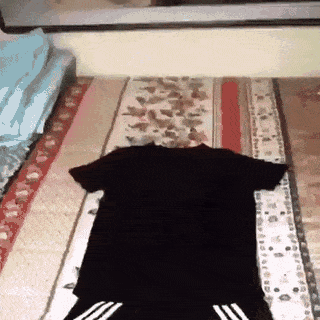 黒猫の擬態