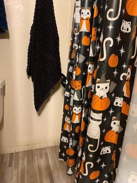 黒猫の擬態