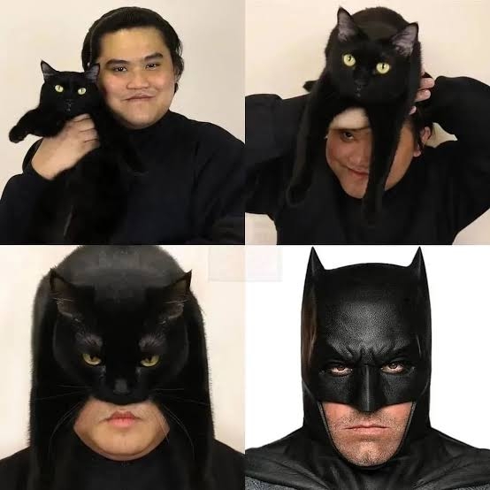 黒猫の擬態