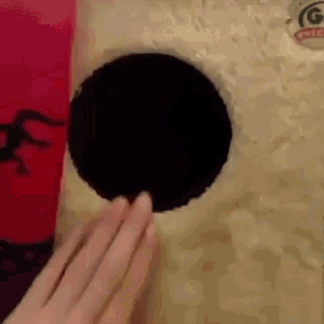 黒猫の擬態