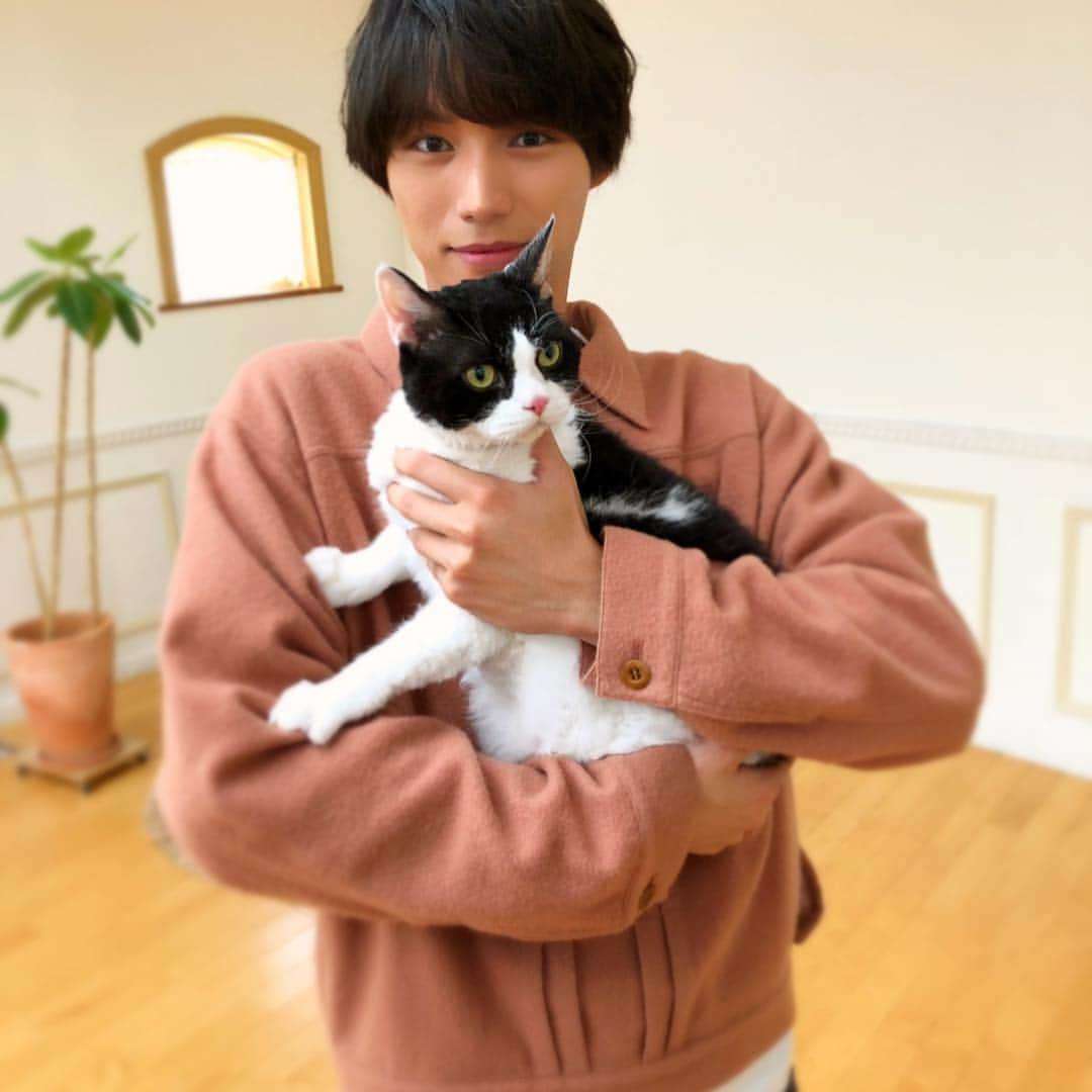 【アラフォー以上限定】好きな若手俳優Part2