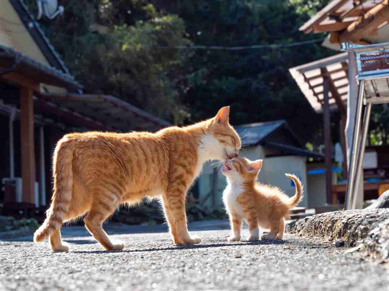 美しいと思うもの