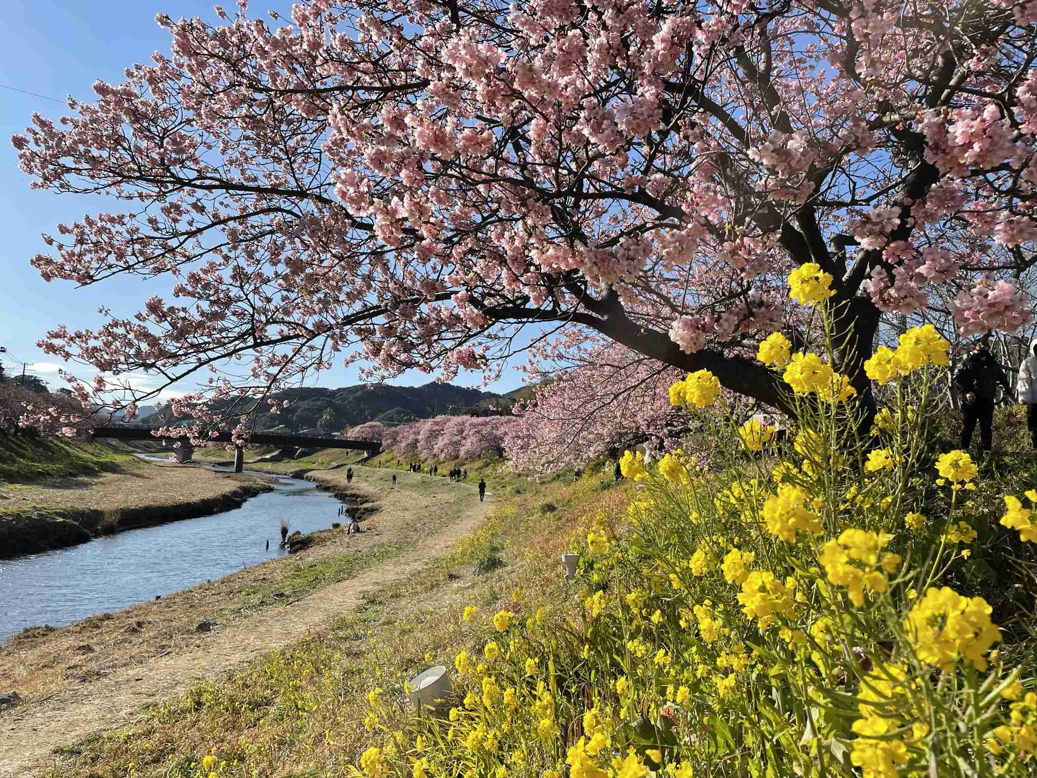 美しいと思うもの