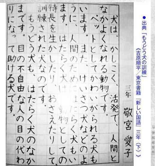美しいと思うもの