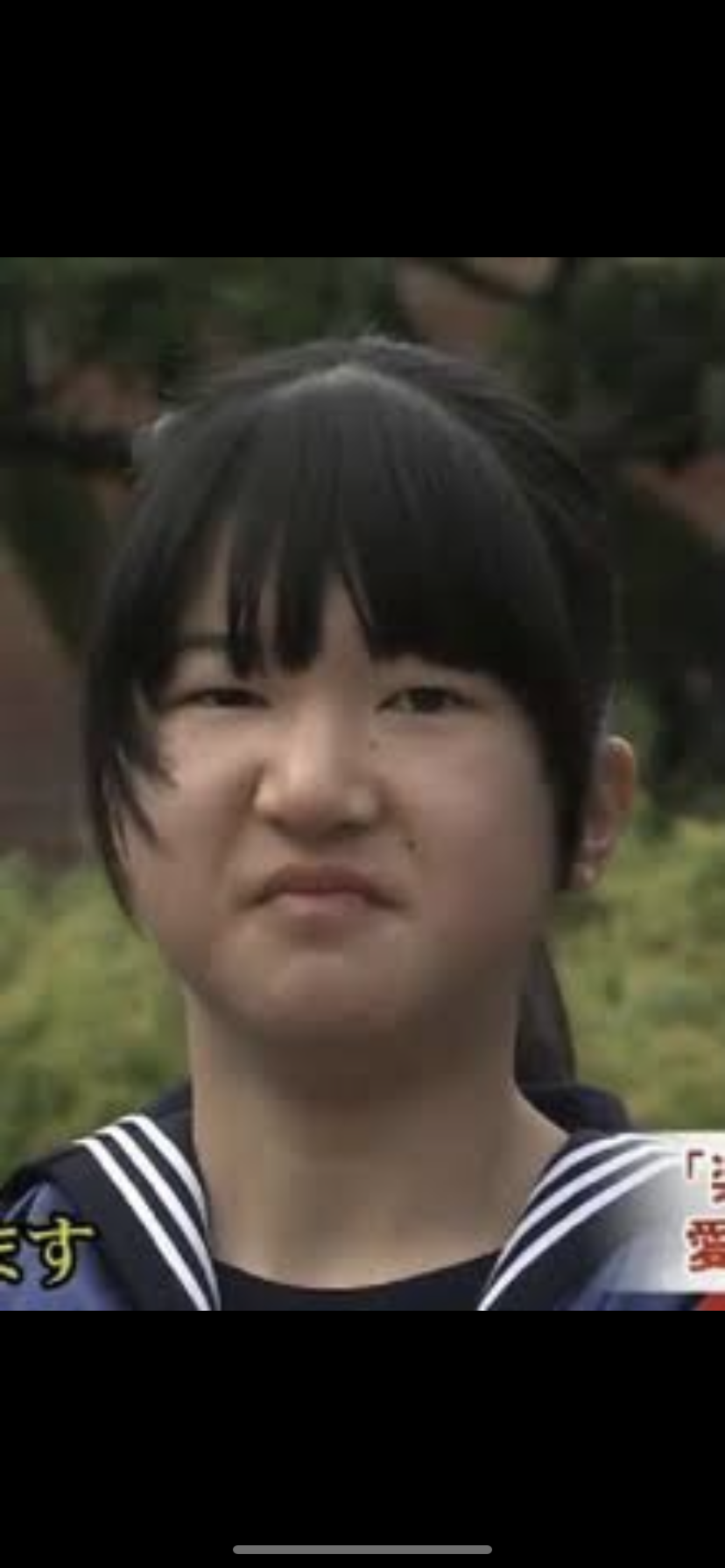 美しいと思うもの