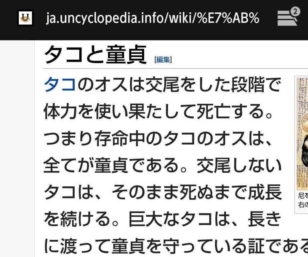 フォルダに保存してある画像で絶対に笑ってはいけないガルちゃん・7