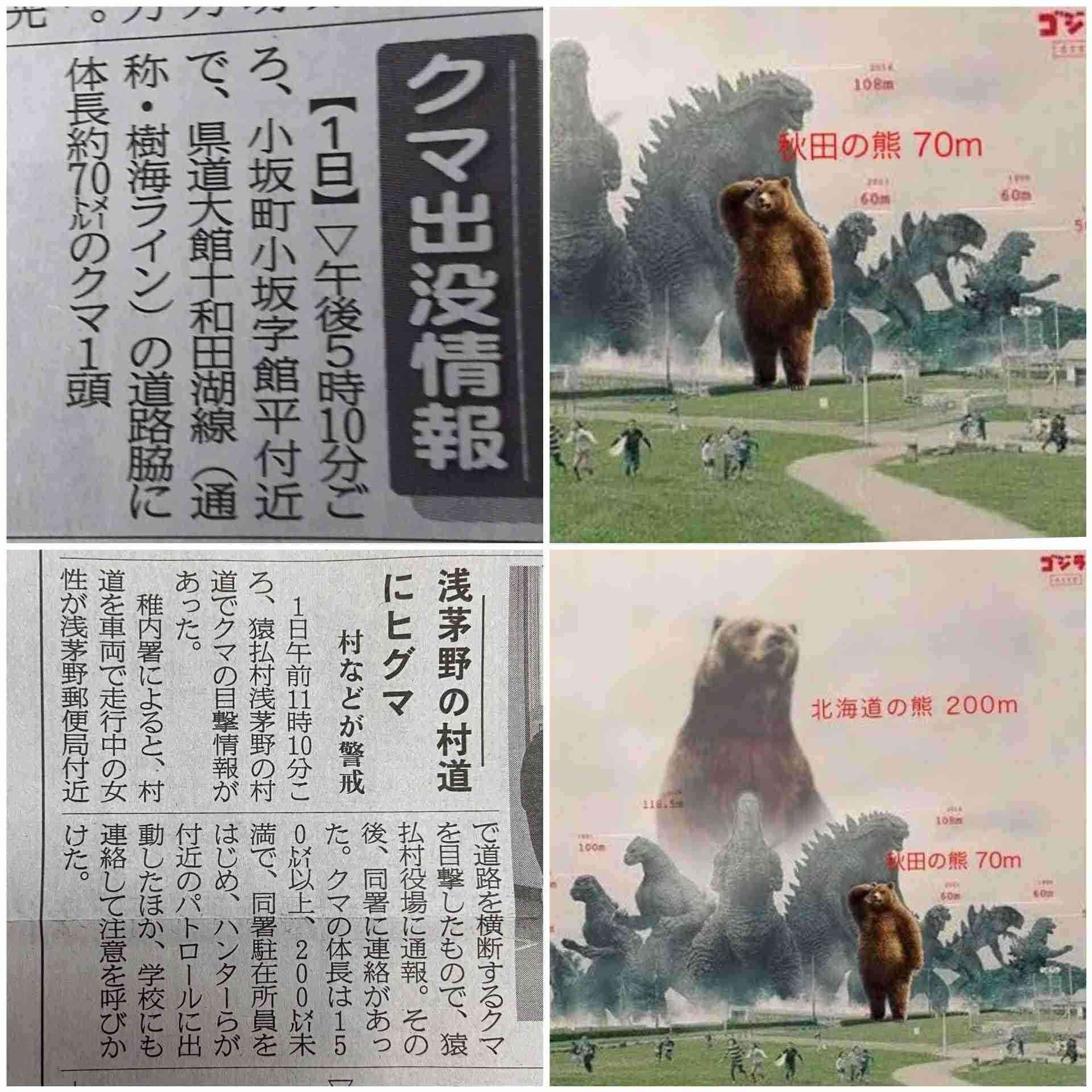 フォルダに保存してある画像で絶対に笑ってはいけないガルちゃん・7