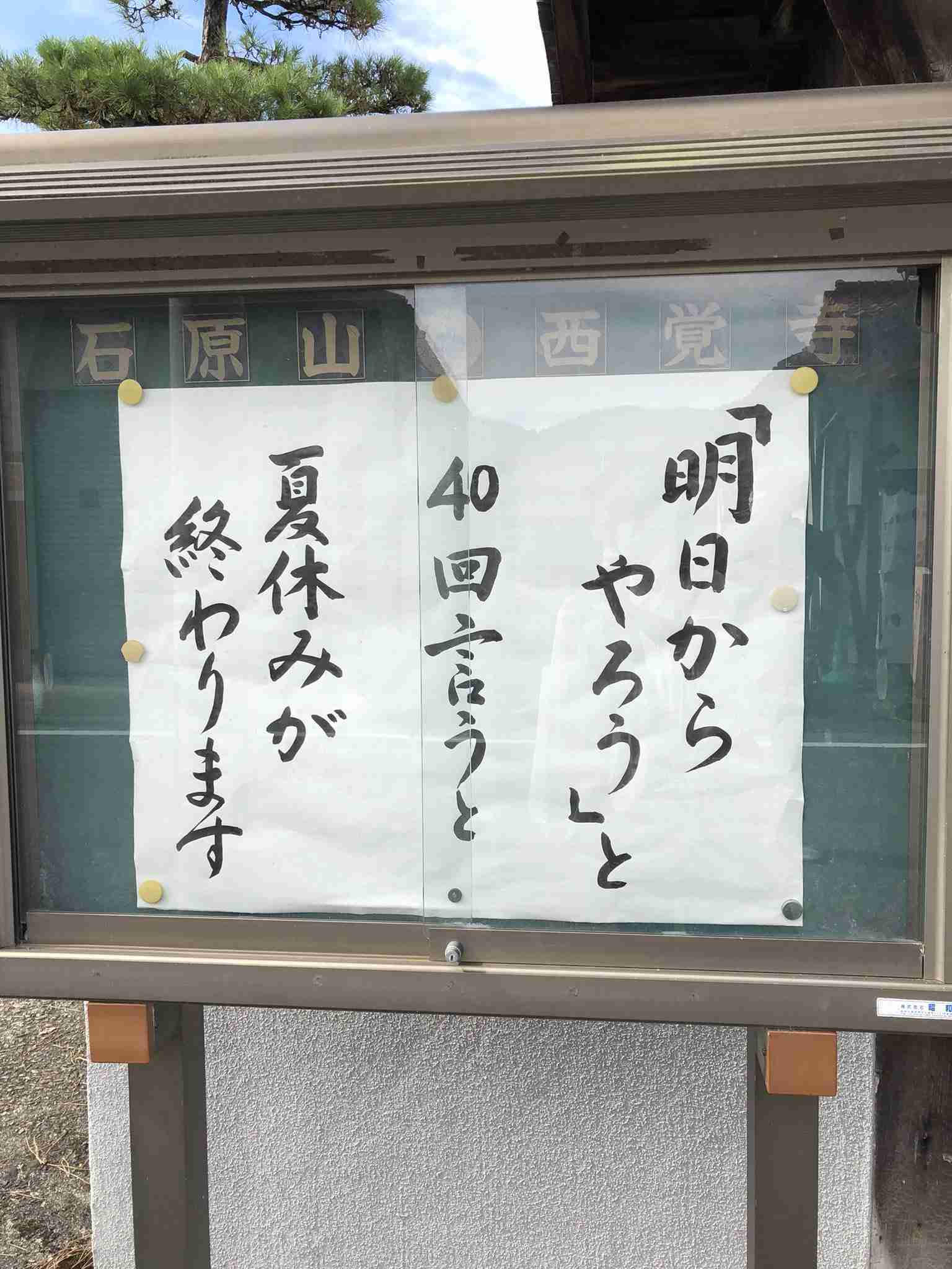 フォルダに保存してある画像で絶対に笑ってはいけないガルちゃん・7