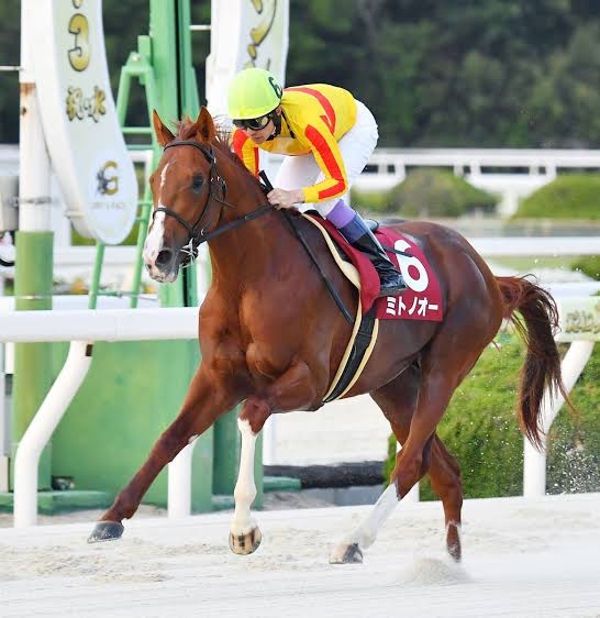 【競馬】UMAJO集まれ！ part 25【アンチ厳禁】