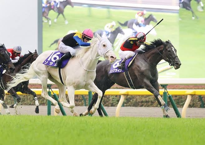 【競馬】UMAJO集まれ！ part 25【アンチ厳禁】
