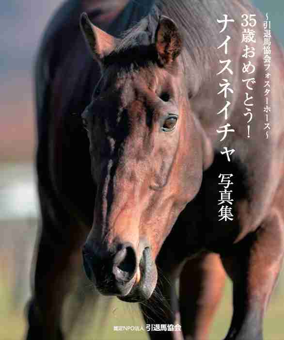 【競馬】UMAJO集まれ！ part 25【アンチ厳禁】
