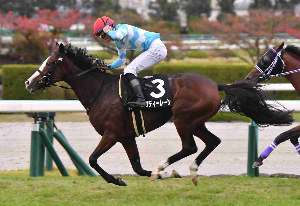 【競馬】UMAJO集まれ！ part 25【アンチ厳禁】