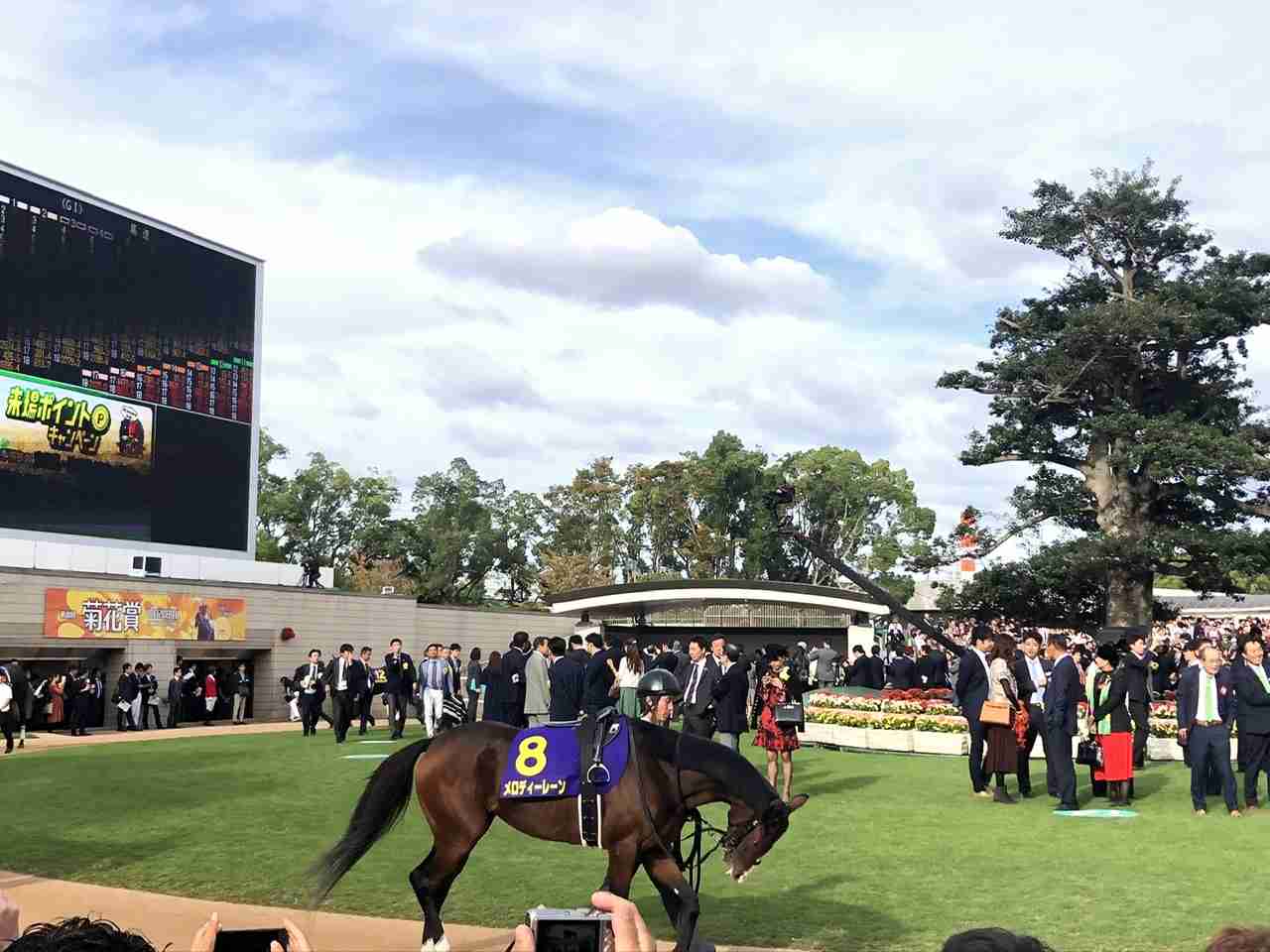 【競馬】UMAJO集まれ！ part 25【アンチ厳禁】