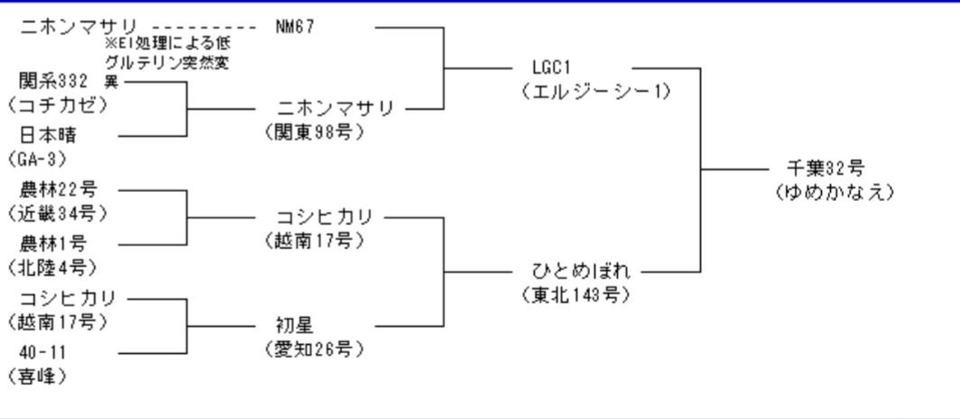 田植えしたことある人