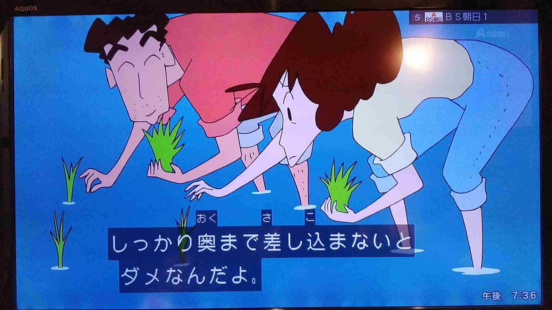 田植えしたことある人