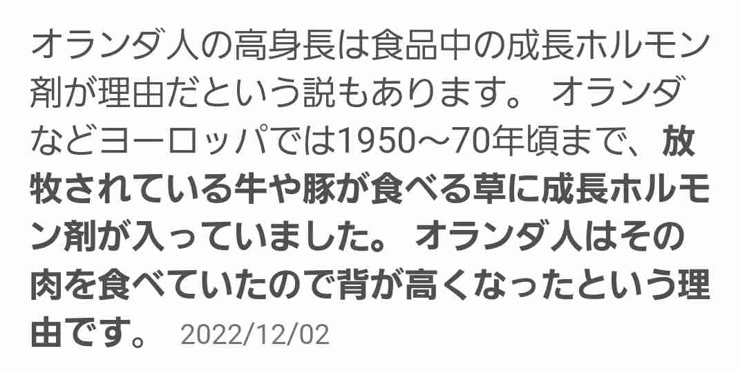 オランダ人の“幸福度“が高いワケ。教育移住した日本人女性が感じた、日本との“休み方”の大きな違い