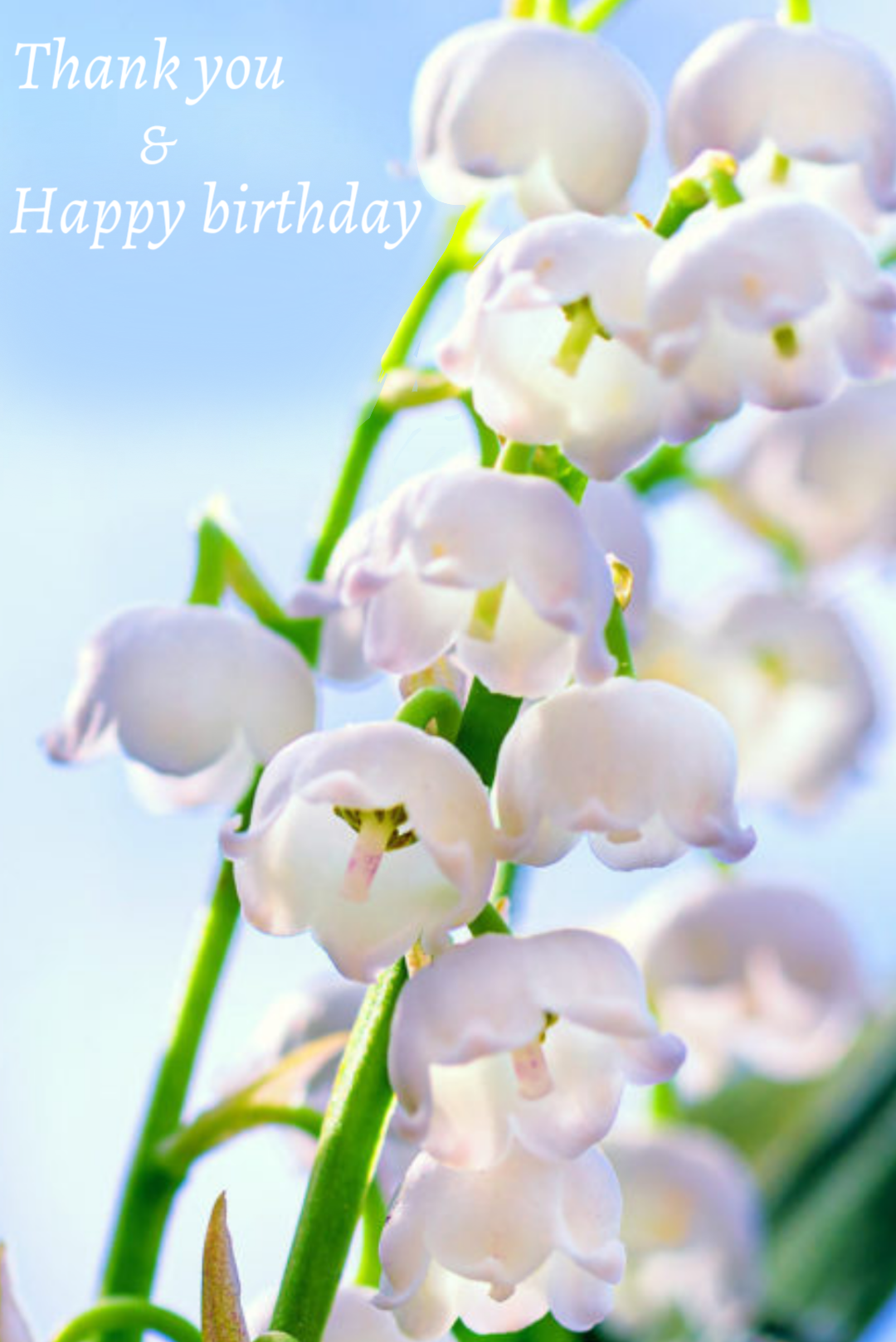 🎉毎日誰かの誕生日🎂誕生日をお祝いするトピ🎁