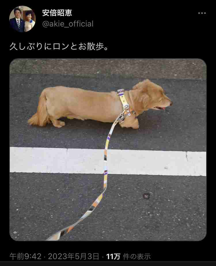 政治を学びたい