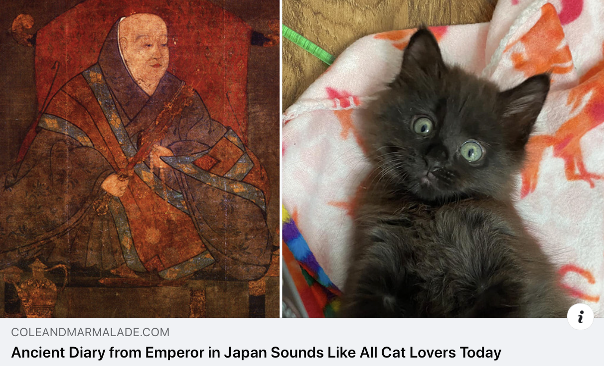 博物館・ミュージアムへ行こう